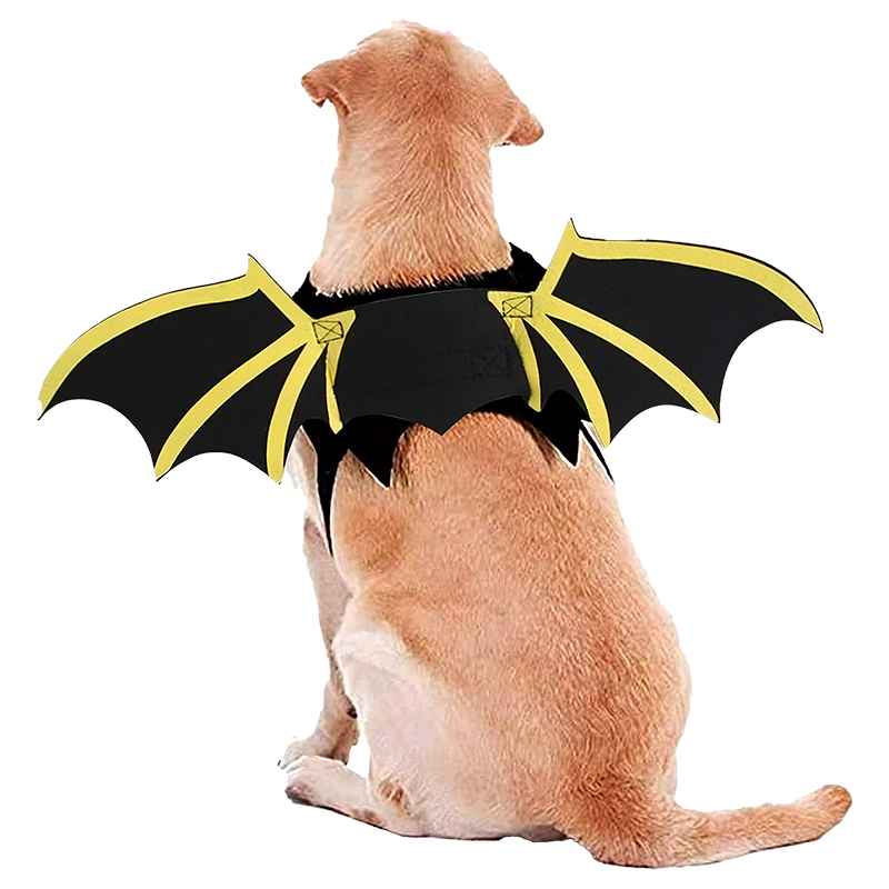 Στολή σκύλου νυχτερίδα για το Halloween