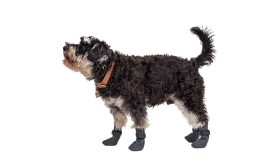 Σετ τεσσάρων αθλητικών καλτσών για σκύλους σε γκρι χρώμα με αντιολισθητικές σόλες, εύκολο στον καθαρισμό.