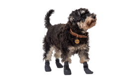 Σετ τεσσάρων αθλητικών καλτσών για σκύλους σε γκρι χρώμα με αντιολισθητικές σόλες και αντιολισθητικό ελαστικό.