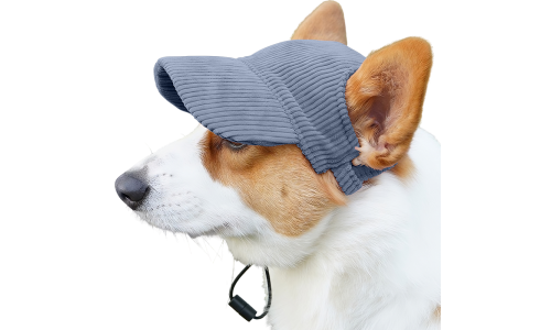 Corgi φοράει ένα αναπνεύσιμο μπλε καπέλο αθλητικού τύπου, ελαφρύ, για προστασία από τον ήλιο το καλοκαίρι.
