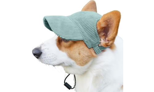 Corgi φοράει ένα αναπνεύσιμο πράσινο καπέλο αθλητικού τύπου, ελαφρύ, για προστασία από τον ήλιο το καλοκαίρι.