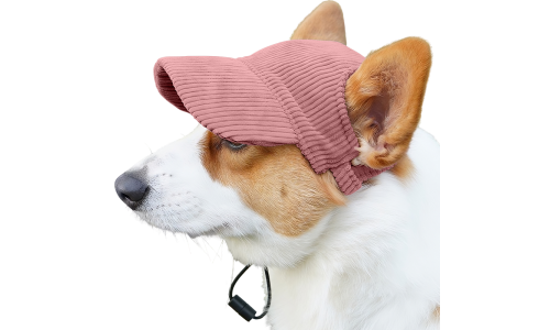 Corgi φοράει ένα αναπνεύσιμο ανοιχτό ροζ καπέλο αθλητικού τύπου, ελαφρύ, για προστασία από τον ήλιο το καλοκαίρι.