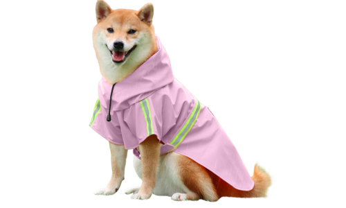 Shiba Inu σε αδιάβροχο ροζ μπουφάν με ανακλαστικές λωρίδες, εύκολες ρυθμιζόμενες ιμάντες για βροχερές βόλτες.
