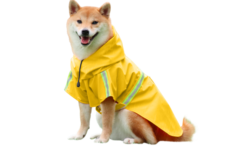 Shiba Inu σε αδιάβροχο κίτρινο αδιάβροχο μπουφάν με ανακλαστικές λωρίδες, εύκολες ρυθμιζόμενες ιμάντες για βροχερές βόλτες.