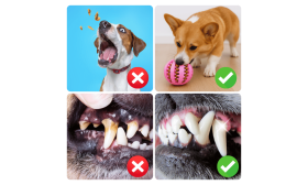 Μπάλα Διανομής Λιχουδιών για Σκύλους – Λαστιχένιο Παιχνίδι Μάσησης